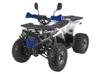 купить Квадроцикл AVANTIS Optima 8 Premium в Москве - фото 