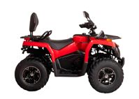 купить Квадроцикл BIZON YK200 Basic Carb в Москве - фото 