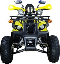 купить Квадроцикл AVANTIS Hunter 8M Lux 125 2017 в Москве - фото 