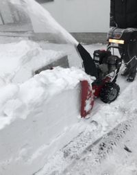 купить Снегоуборщик CANADIANA CL61900R в Москве - фото 