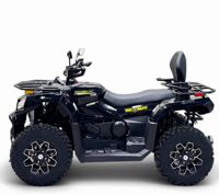 купить Квадроцикл BIZON YK450A в Москве - фото 