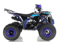 купить Квадроцикл WELS Thunder EVO в Москве - фото 