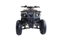 купить Квадроцикл WELS ATV Thunder 150 в Москве - фото 