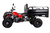 купить Квадроцикл YACOTA Slogger в Москве - фото 