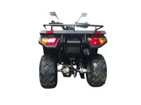 купить Квадроцикл RATO RT250ST Premium в Москве - фото 