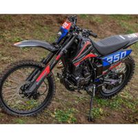 купить Мотоцикл кроссовый эндуро SHARMAX Sport 250 в Москве - фото 