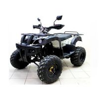 купить Квадроцикл ATV Avenger Tungus 250 в Москве - фото 