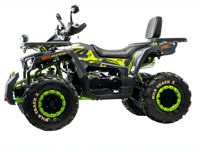 купить Квадроцикл MOTOLAND 200 Wild Track X Winch в Москве - фото 