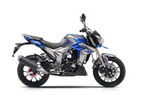 купить Мотоцикл REGULMOTO T-Leopard 300 в Москве - фото 