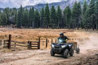купить Квадроцикл KAWASAKI Brute Force 750 EPS (2024) (ПСМ) в Москве - фото 