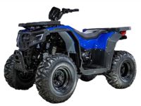 купить Квадроцикл ПРОГАСИ Race Jumper 200 SE в Москве - фото 