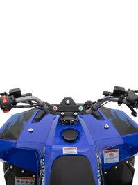 купить Квадроцикл SHARMAX Cross 200 (2024) в Москве - фото 