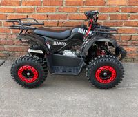 купить Квадроцикл MOWGLI Mini Hardy 4T в Москве - фото 