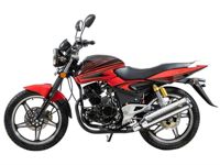 купить Мотоцикл RACER Magnum RC200-C5B ENDURO в Москве - фото 