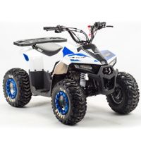 купить Квадроцикл MOTOLAND 110 Eagle (2021 Г.) в Москве - фото 