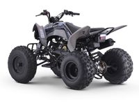 купить Квадроцикл SHARMAX Raizer Race Cup 250 в Москве - фото 