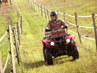 купить Квадроцикл YAMAHA Segway 300 в Москве - фото 