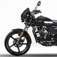 купить Мотоцикл SHARMAX Street Bike D Editions 200 (2024) в Москве - фото 