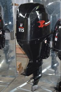 купить 4х-тактный лодочный мотор GOLFSTREAM F115FEL-T EFI в Москве - фото 