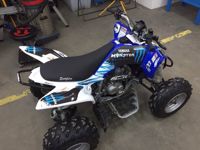 купить Квадроцикл ABM Scorpion 250 в Москве - фото 