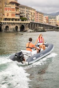 купить 4х-тактный лодочный мотор MERCURY F 20 ELPT EFI в Москве - фото 