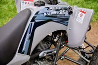 купить Квадроцикл SHARMAX Raizer Race Cup 250 в Москве - фото 