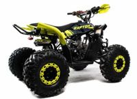купить Квадроцикл MOTOLAND 125 Raptor в Москве - фото 