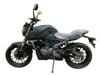 купить Мотоцикл RACER RC250XZR-X КАЙМАН ENDURO в Москве - фото 