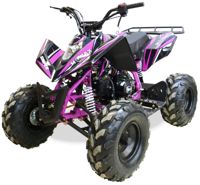 купить Квадроцикл MOTAX ATV T-Rex Super LUX 50 cc в Москве - фото 