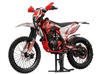 купить Мотоцикл DAREX Alga 300 ENDURO в Москве - фото 