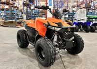 купить Квадроцикл SHARMAX Cross 200 (2024) в Москве - фото 