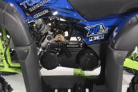 купить Квадроцикл YACOTA Sela 200 Max в Москве - фото 