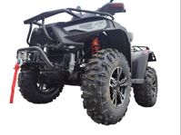 купить Квадроцикл LINHAI-YAMAHA P500 Promax в Москве - фото 