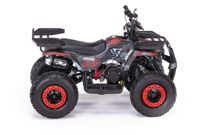купить Квадроцикл MOTAX Grizlik X16 (PS, BW) в Москве - фото 