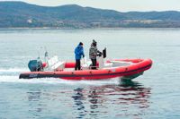 купить 4х-тактный лодочный мотор MIKATSU MF150FEX-T-EFI (2024) в Москве - фото 