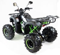 купить Квадроцикл MOTAX ATV Grizlik-8 125 в Москве - фото 