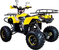 купить Квадроцикл AVANTIS Patriot M в Москве - фото 