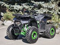 купить Квадроцикл RMOTO Lion 125AR Lite в Москве - фото 