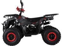 купить Квадроцикл MOTAX ATV Grizlik Super Lux 125cc в Москве - фото 