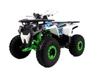 купить Квадроцикл MOTOLAND Shark 150 в Москве - фото 