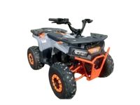 купить Квадроцикл BOOST 125 в Москве - фото 