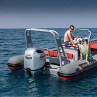 купить 4х-тактный лодочный мотор HONDA BF250D XDU в Москве - фото 