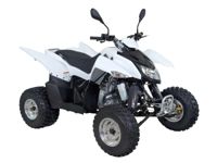 купить Квадроцикл SYM QuadRaider 300 SS в Москве - фото 