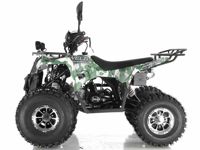 купить Квадроцикл WELS Thunder 125 Lux в Москве - фото 