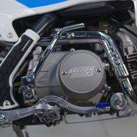 купить Мотоцикл PITONMOTO PX3 110EМ 14/12 PITBIKE в Москве - фото 