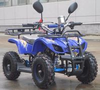 купить Квадроцикл RAPTOR Max Pro 49cc (2024) в Москве - фото 