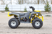 купить Квадроцикл IRBIS ATV 125 в Москве - фото 