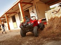 купить Квадроцикл YAMAHA Segway 300 в Москве - фото 