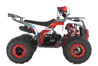 купить Квадроцикл WELS Thunder EVO X ST в Москве - фото 