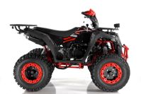 купить Квадроцикл WELS ATV Thunder 200 Evo X в Москве - фото 